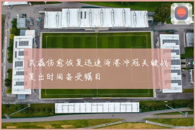武磊伤愈恢复迅速海港冲冠关键战复出时间备受瞩目